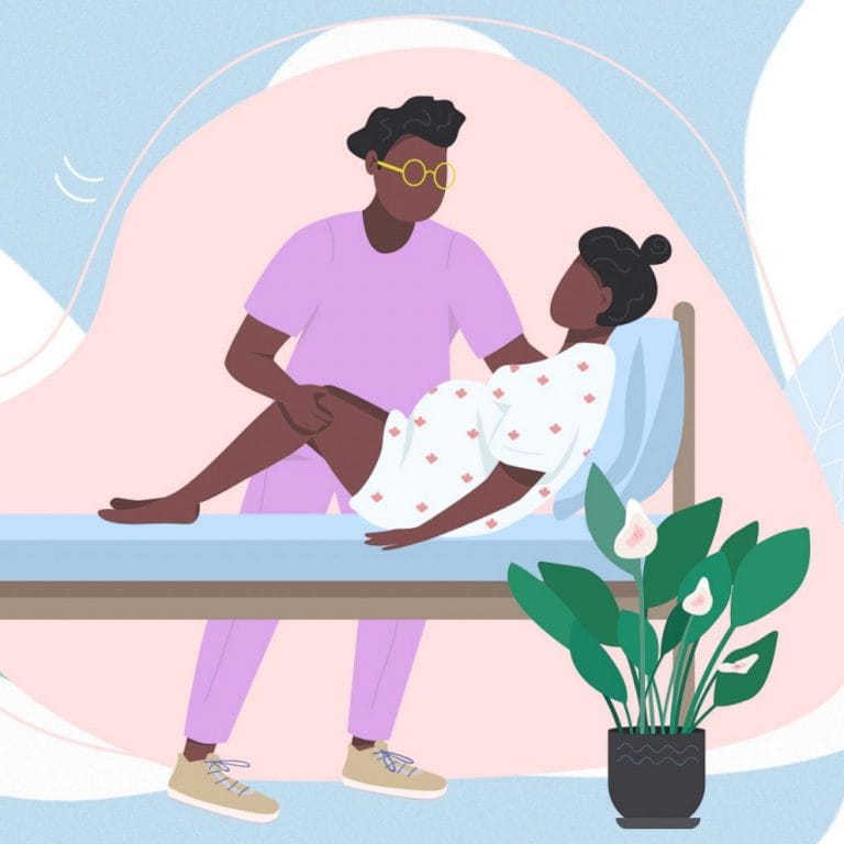 Gainesville Women’s Health Center Fractals