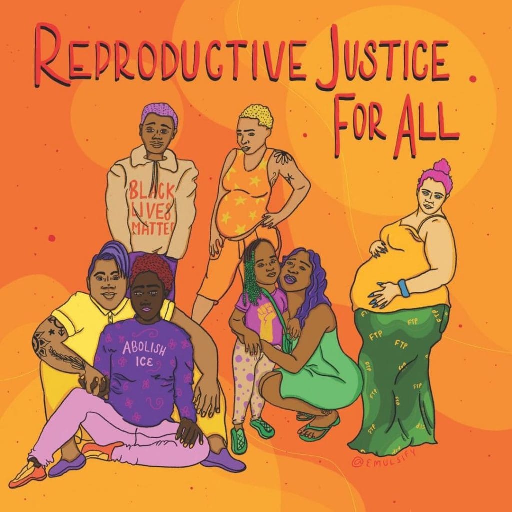 Reproductive Justice Fractals 